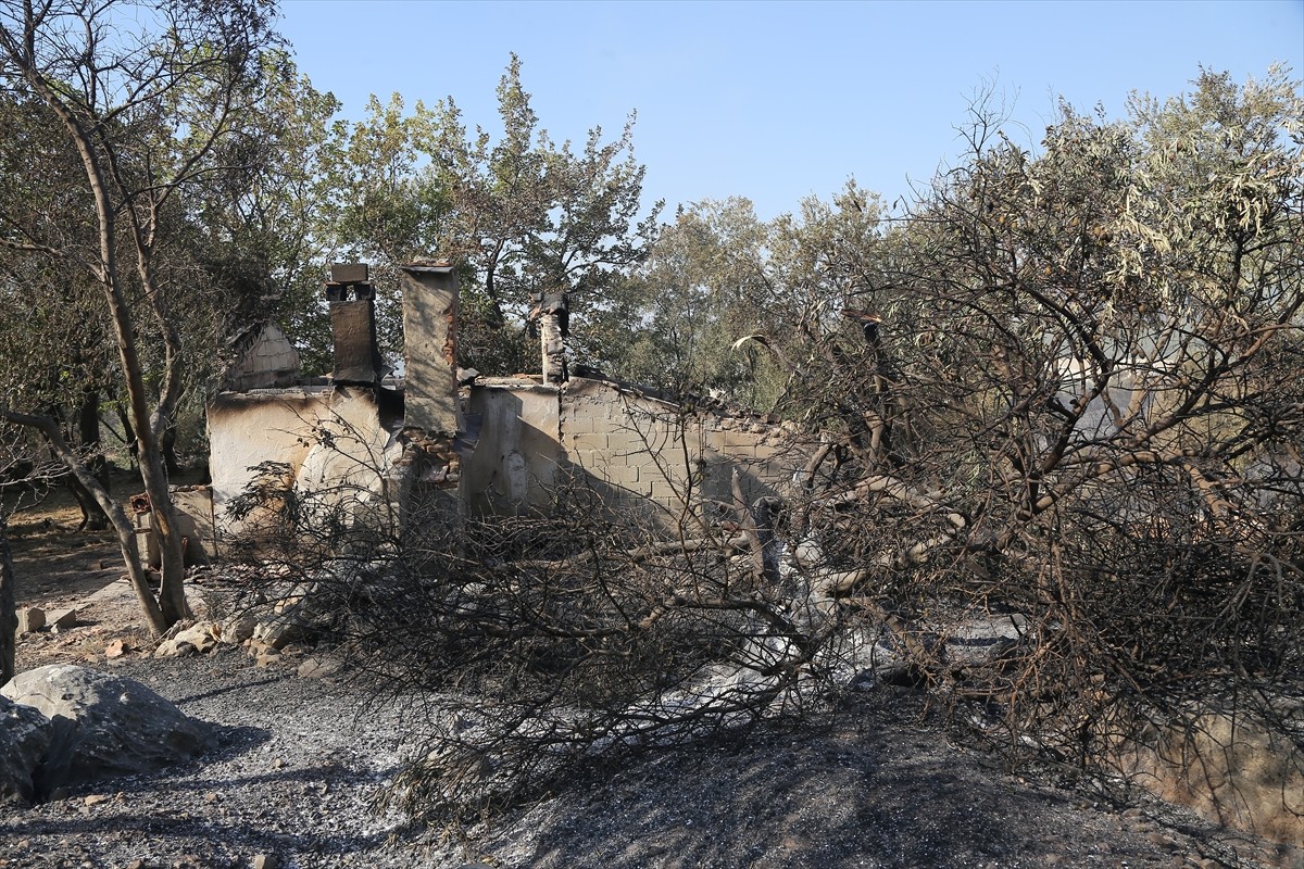 Muğla'nın Milas ilçesinde çıkan orman yangını kara ve hava ekiplerinin müdahalesiyle kontrol...