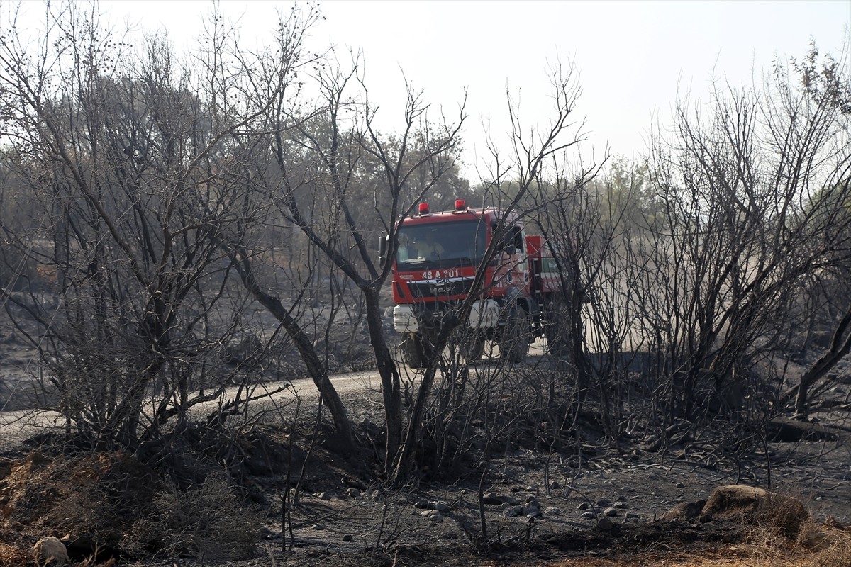 Muğla'nın Milas ilçesinde çıkan orman yangını kara ve hava ekiplerinin müdahalesiyle kontrol...
