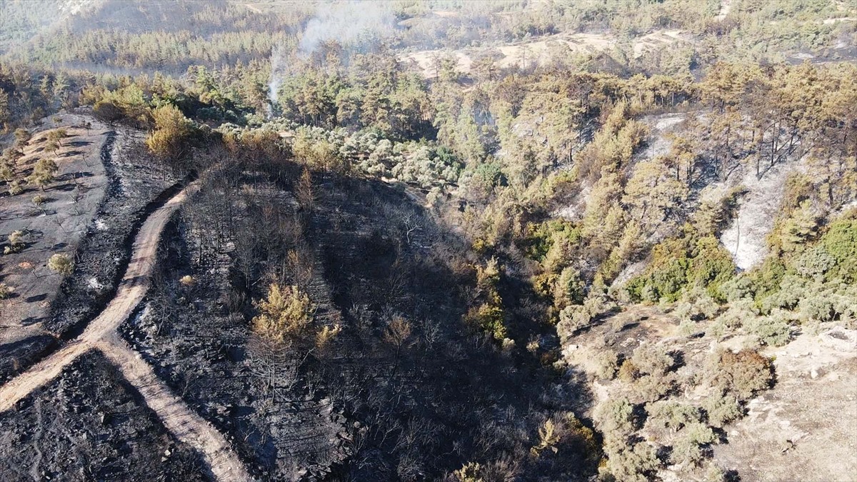 Muğla'nın Milas ilçesinde çıkan orman yangını kısmen kontrol altına alındı. Yangında yaklaşık 60...