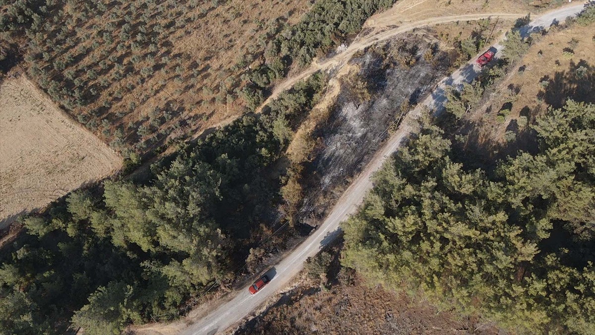 Muğla'nın Milas ilçesinde çıkan orman yangını kısmen kontrol altına alındı. Yangında yaklaşık 60...