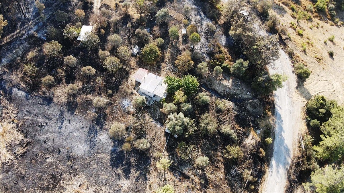 Muğla'nın Milas ilçesinde çıkan orman yangını kısmen kontrol altına alındı. Yangında yaklaşık 60...