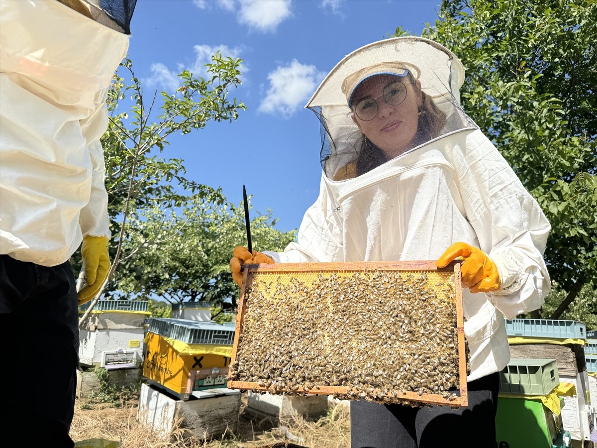 Tekirdağ’da devletten aldığı destekle arıcılığa başlayan Havva Tekin (solda), 2 yılda kovan...