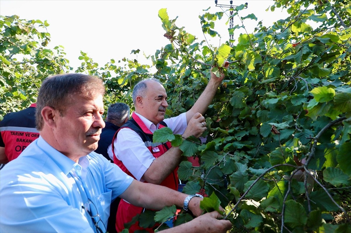 Ticaret Bakanlığı Doğu Karadeniz Bölge Müdürlüğünce oluşturulan komisyon tarafından alınan karara...