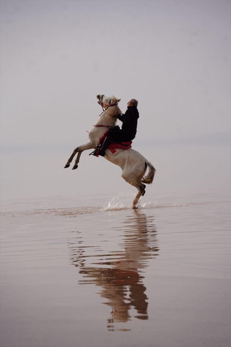 Türkiye Binicilik Federasyonu tarafından Kocaeli'nin Gebze ilçesinde Atlı Dayanıklılık Türkiye...