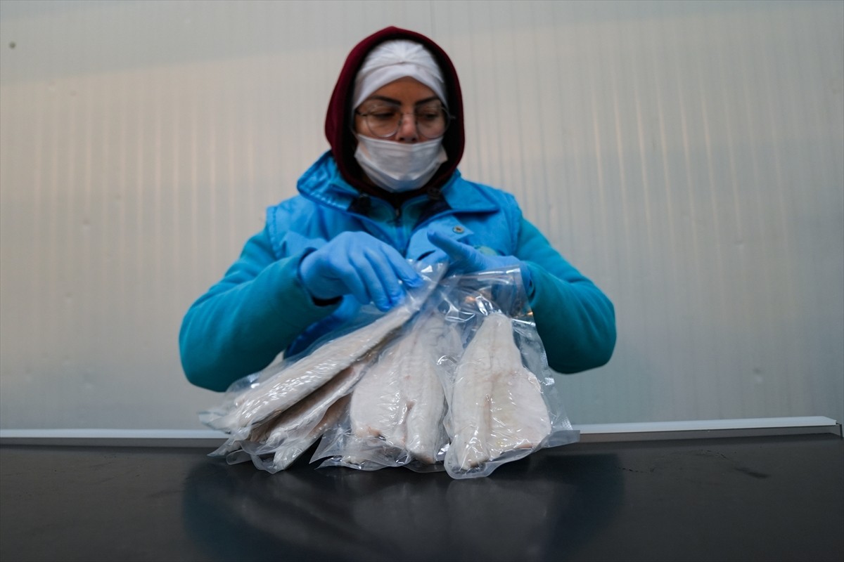 İzmir Su Ürünleri Yetiştiricileri ve Üreticileri Birliği Başkanı Ufuk Atakan Demir, Türkiye'nin...