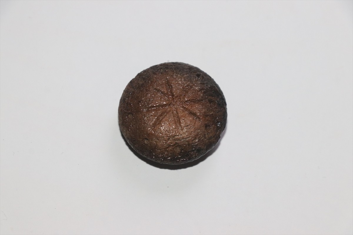 Karabük'ün Eskipazar ilçesindeki Hadrianopolis Antik Kenti'ndeki kazı çalışmalarında 5. yüzyıla...