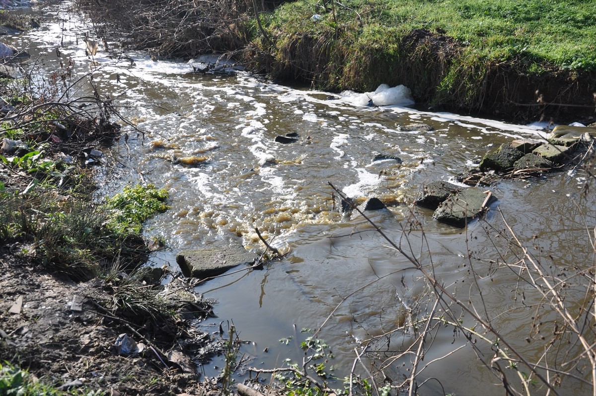 Kırklareli'nin Lüleburgaz ilçesinde Saranlı Deresi'nin kirlilikten rengi değişti. Derenin bazı...