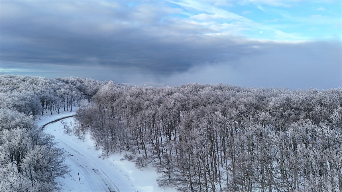 Trakya'da, Karadeniz kıyılarına paralel uzanan Yıldız Dağları'nda kar yağışının ardından oluşan...