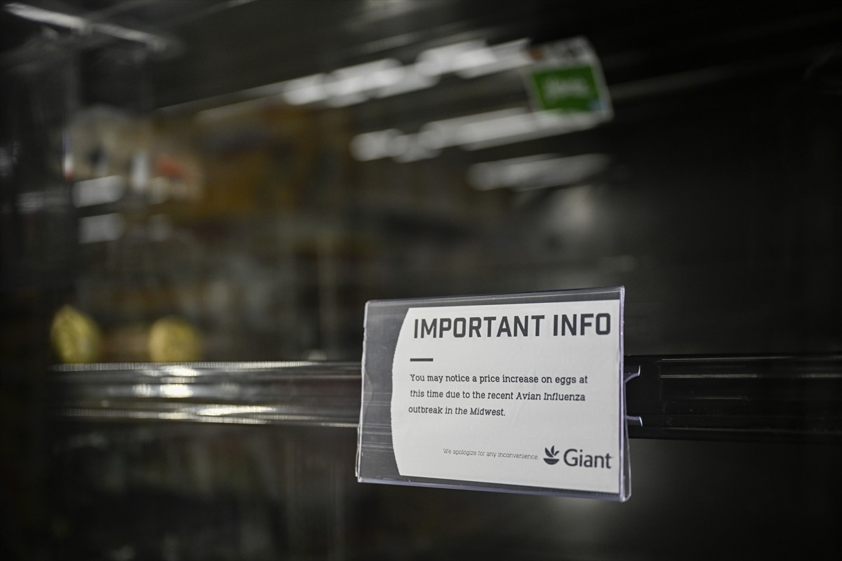 ABD'de kuş gribi salgını ülke genelinde yumurta arzını olumsuz etkilerken, fiyatlar ocakta...