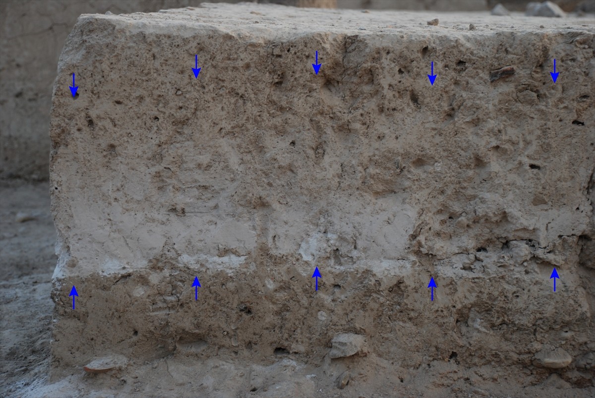 Aydın'ın Çine ilçesinde tarihi 7 bin 500 yıl öncesine ulaşan Tepecik Höyüğü'nde bulunan küllerin...