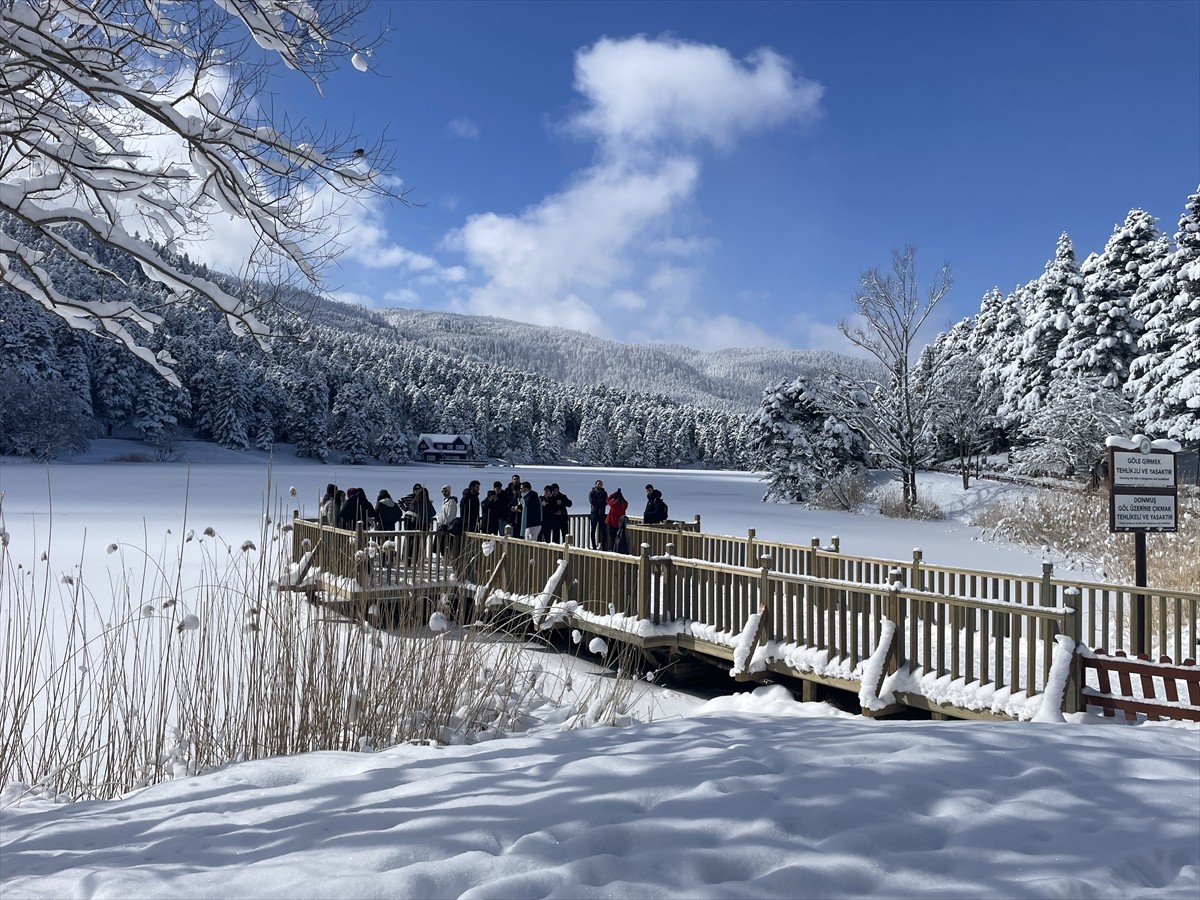 Bolu'nun doğal güzellikleri ile ünlü Gölcük Tabiat Parkı'nda hafta sonu yoğunluğu...