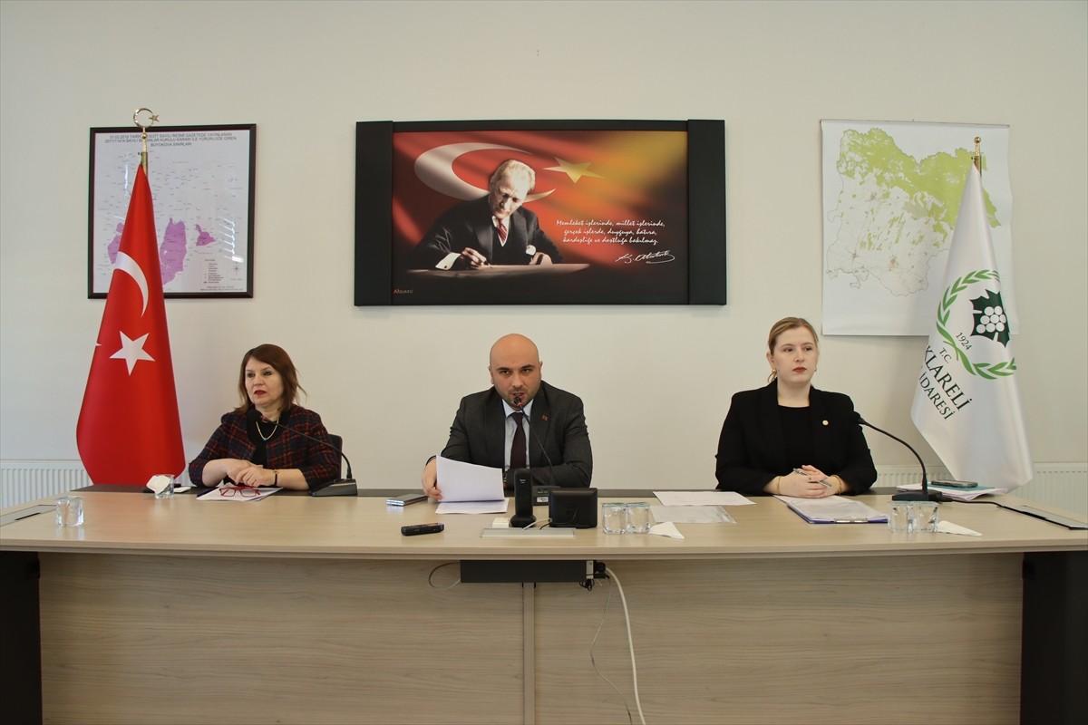 Bulgaristan'a ulaşımın sağlandığı Dereköy Sınır Kapısı'ndan Kırklareli'ne giriş yapacak yabancı...