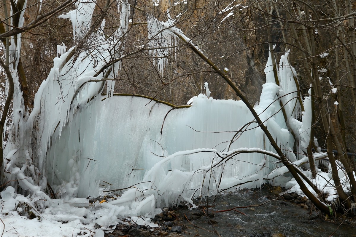 Hakkari'de borunun çatlaması sonucu fışkıran suyun donmasıyla ağaç dallarında uzun buz sarkıtları...