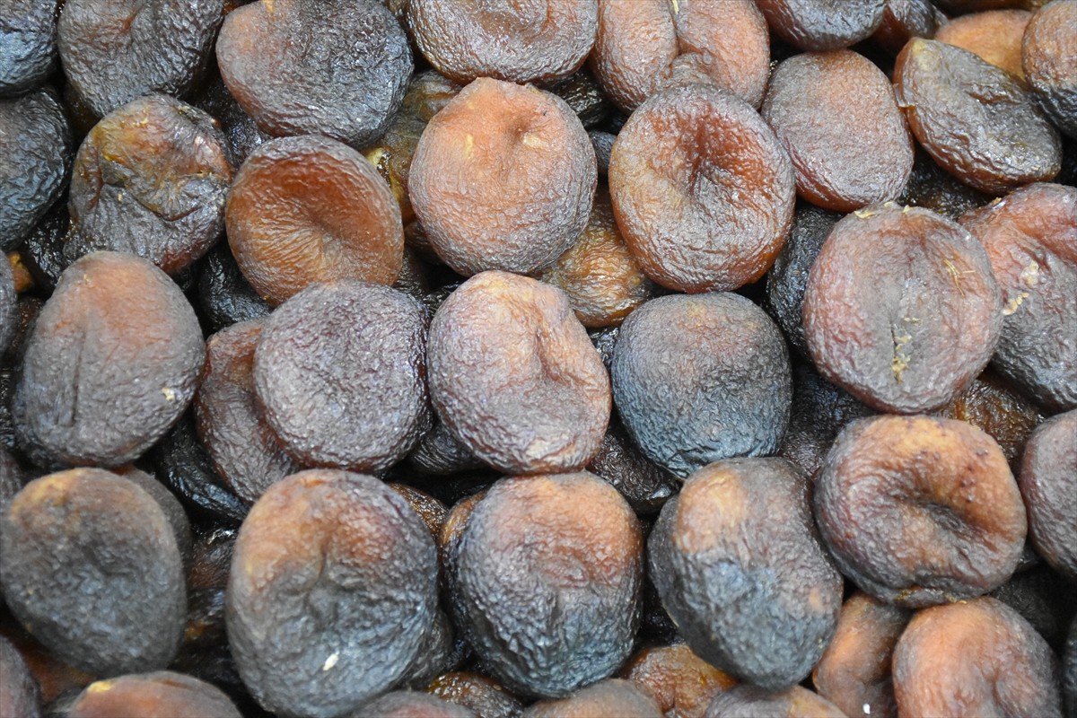 Malatya'dan son 6 ayda 50 bin ton kuru kayısı ihracatına karşılık 240 milyon 57 bin dolar gelir...