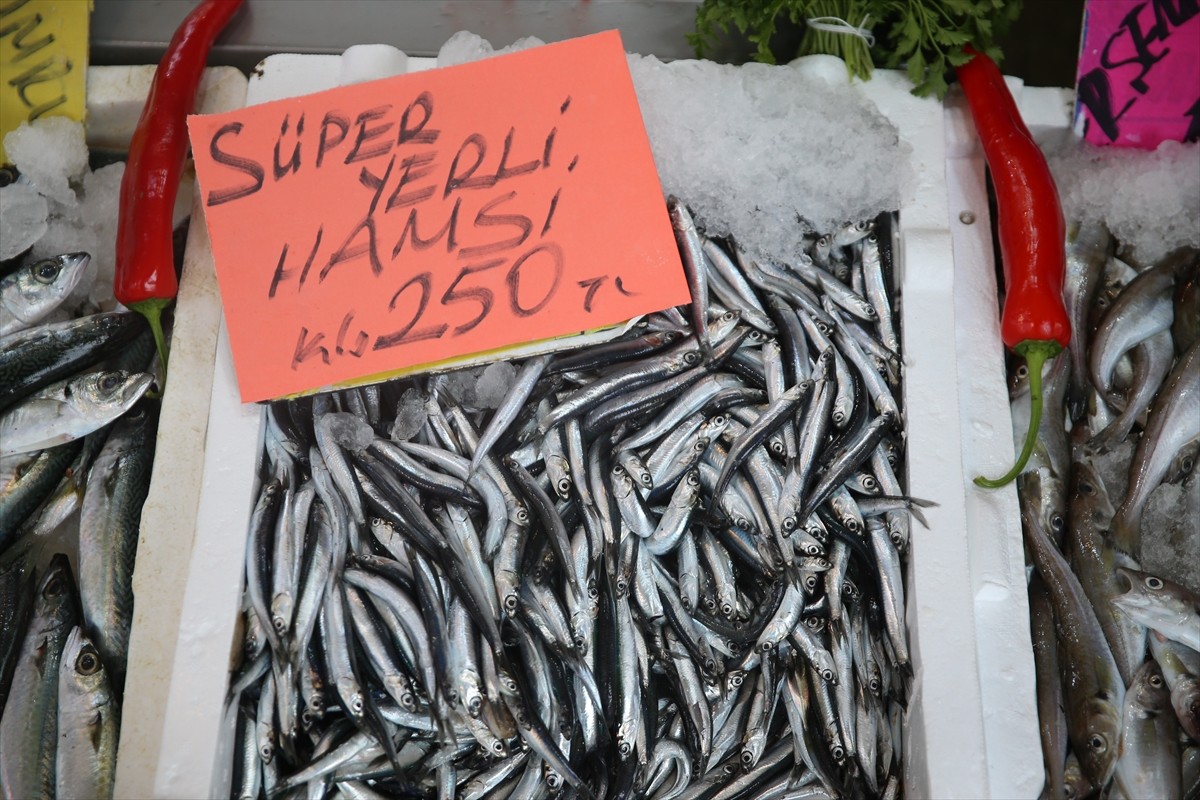 Ordu'da balıkçı tezgahlarında hamsinin kilogramı 250 liradan alıcı buluyor.