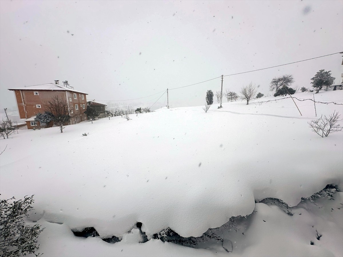 Rize'de etkili olan kar yağışının ardından çevre beyaza büründü.