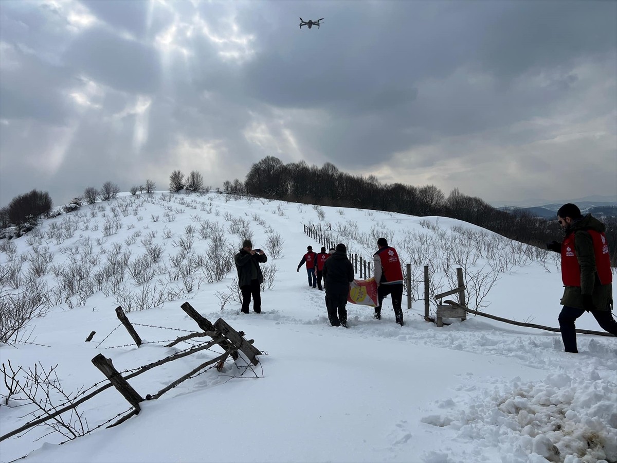 Samsun'un yüksek kesimlerinde kar kalınlığının yaklaşık 1 metreye ulaştığı alanlarda yem bulmakta...