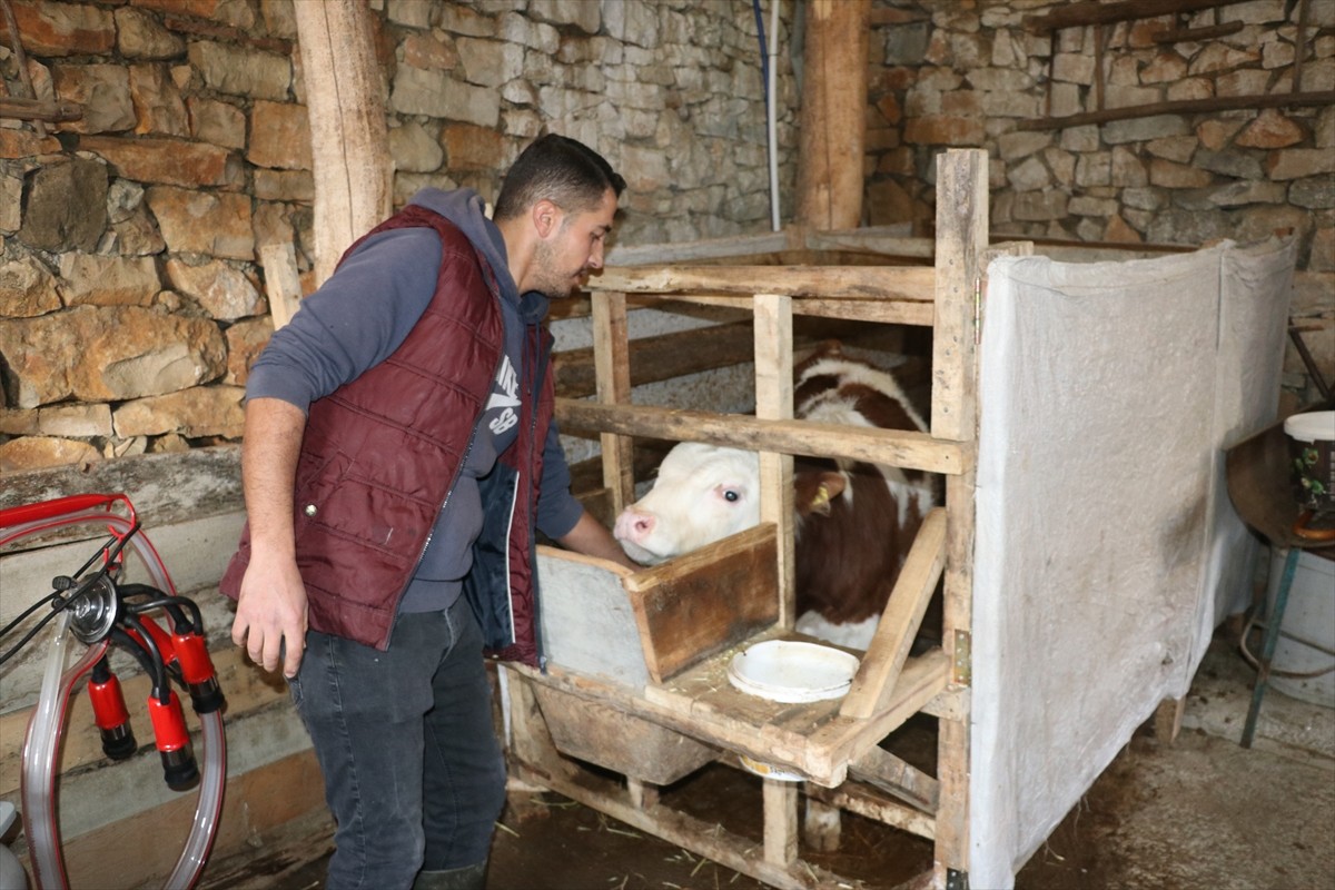 Şehir hayatından sıkılarak Karabük'teki köyüne yerleşen genç ziraat teknikeri Abdullah Kamçıcı...