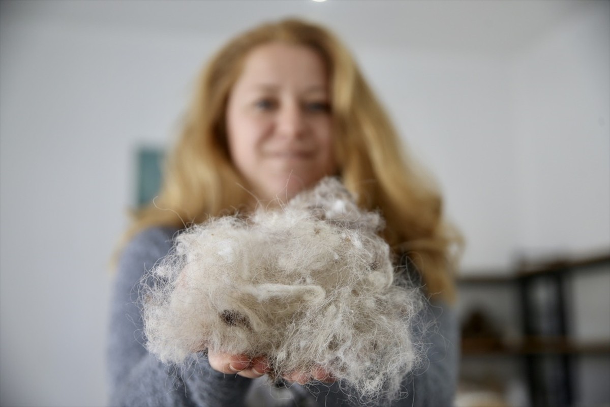 Muğla'da Fethiye Likya Kadın Girişimi Üretim İşletme ve Kalkınma Kooperatifi ile Fethiye...