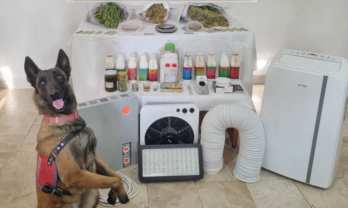 Muğla'nın Ula ilçesinde, evde iklimlendirme sistemi kurarak uyuşturucu yetiştiren 2 şüpheli...