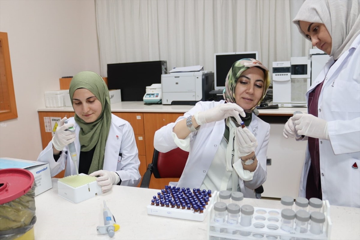 Selçuk Üniversitesi (SÜ) Tıp Fakültesi Biyokimya Ana Bilim Dalı Öğretim Üyesi Prof. Dr. Fatma...