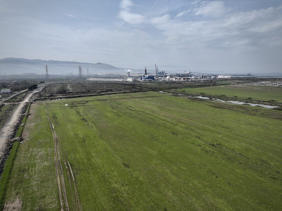 TBMM Plan ve Bütçe Komisyonu Başkanı ve Samsun Milletvekili Mehmet Muş, Chery'nin yatırım yapmayı...