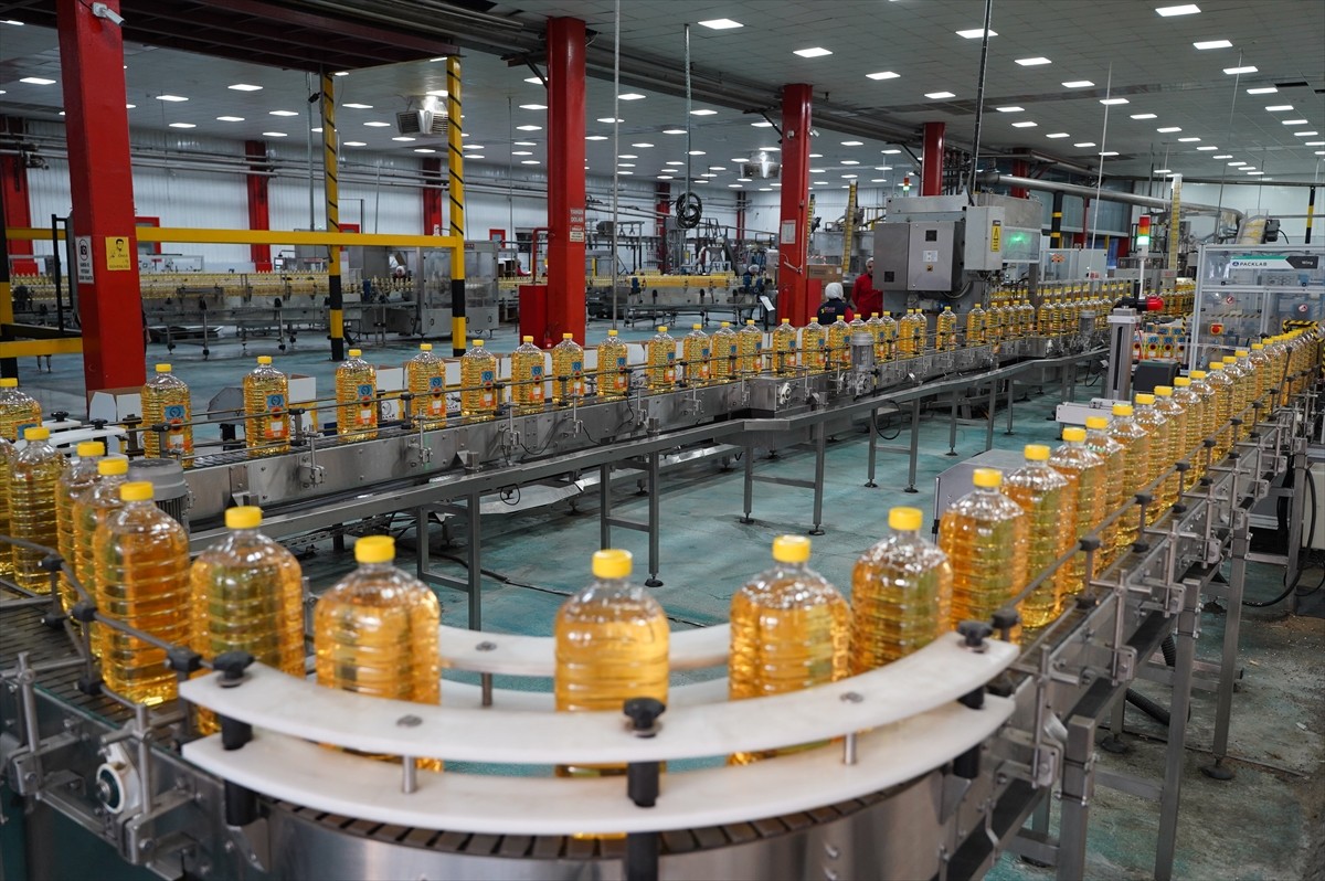 Türkiye'nin hububat, bakliyat, yağlı tohumlar ve mamulleri ihracatında ocak ayında ikinci sırada...