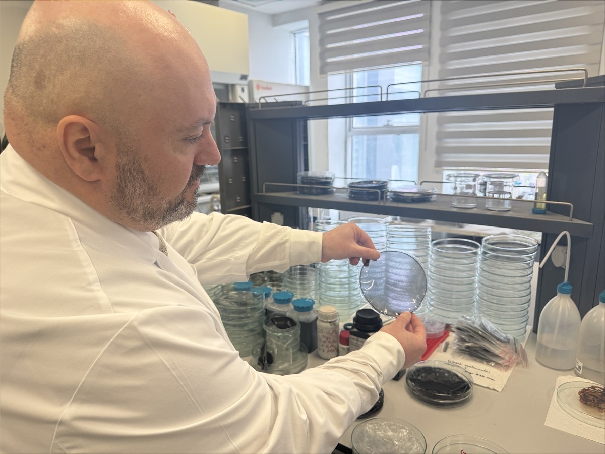 Çankırı Karatekin Üniversitesi (ÇAKÜ), Afyon Kocatepe Üniversitesi (AKÜ) ve Yalova Üniversitesi...