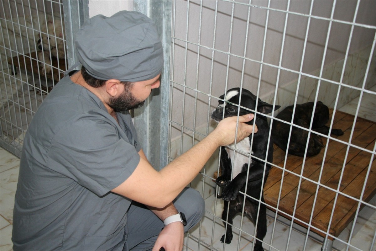 Kahramanmaraş merkezli 6 Şubat 2023'teki depremlerde canları kurtarırken ölen Meksika arama...