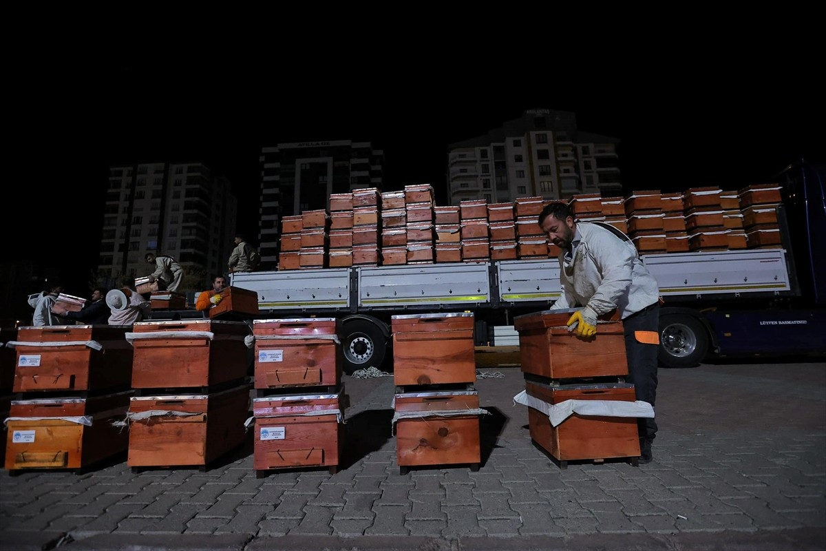 Kayseri Büyükşehir Belediyesi, kentte arıcılığın gelişimini desteklemek amacıyla 300 üreticiye 600...