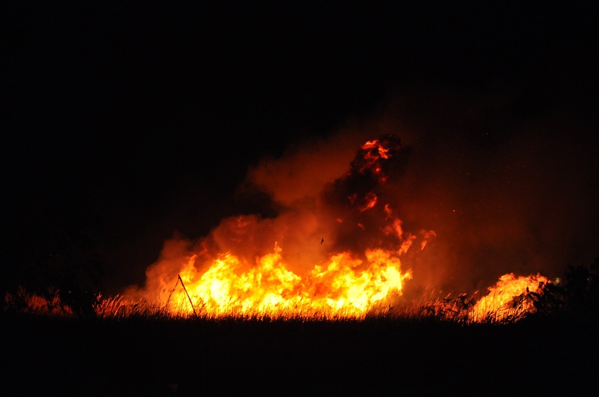 Mersin'in Silifke ilçesindeki Göksu Deltası'nda çıkan yangına müdahale ediliyor.