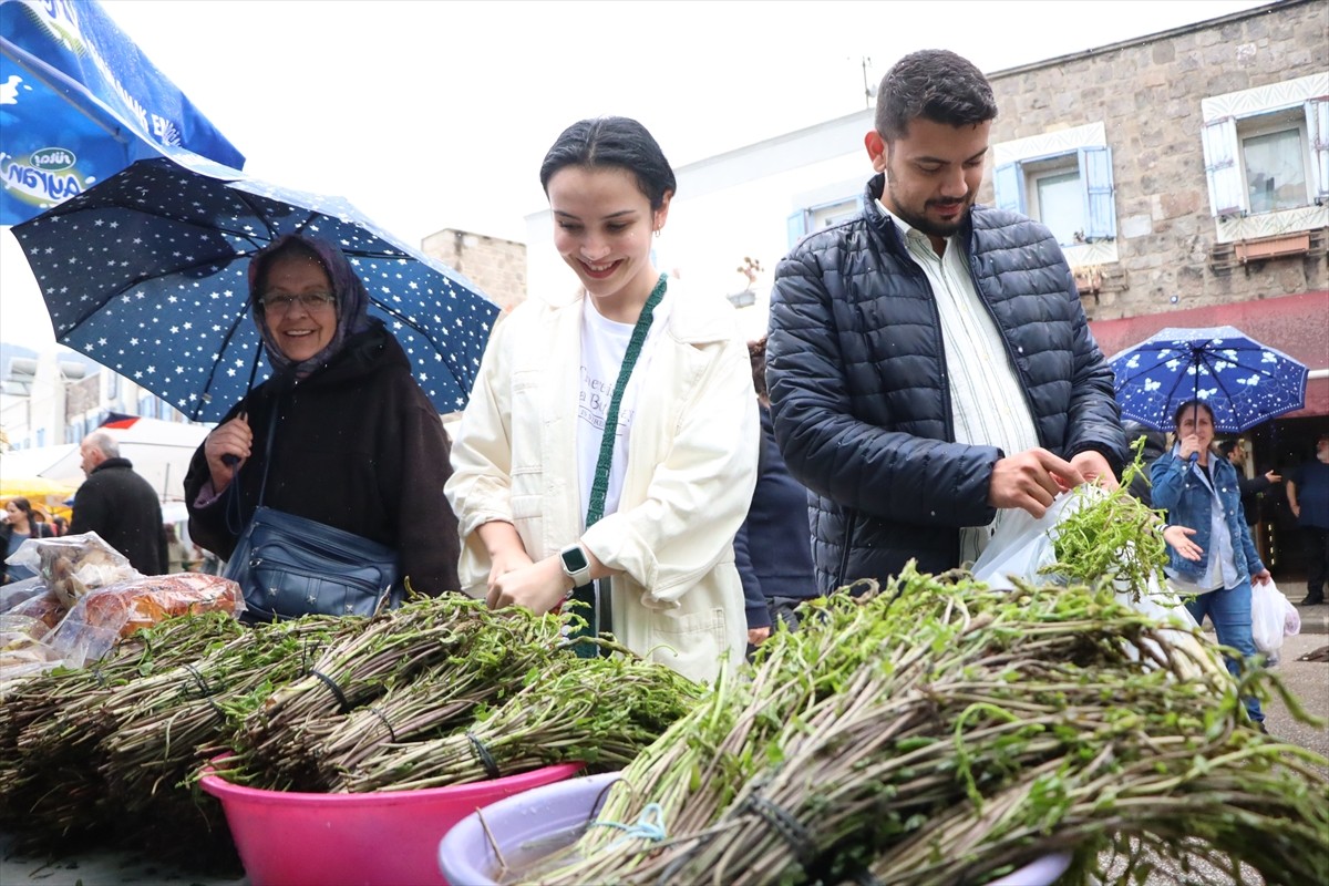 Muğla'nın Bodrum ilçesinde düzenlenen 6. Acı Ot Festivali başladı. Bodrum'un otlarını gelecek...