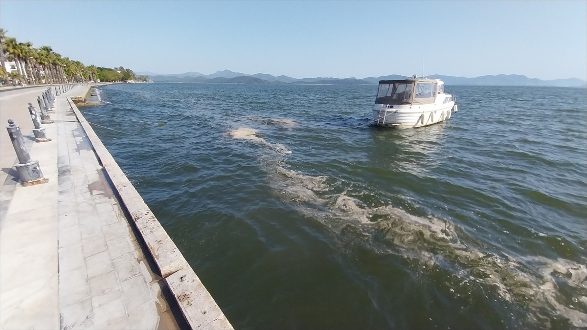 Muğla’da sakin şehir ünvanlı Köyceğiz'deki gölün kıyısında polen yoğunluğu oluştu.