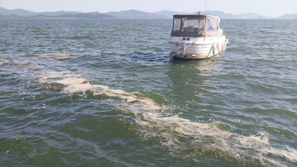 Muğla’da sakin şehir ünvanlı Köyceğiz'deki gölün kıyısında polen yoğunluğu oluştu.