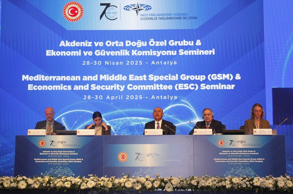 NATO Parlamenter Asamblesi (PA) Akdeniz ve Orta Doğu Özel Grubu Ekonomik ve Güvenlik Komisyonu...