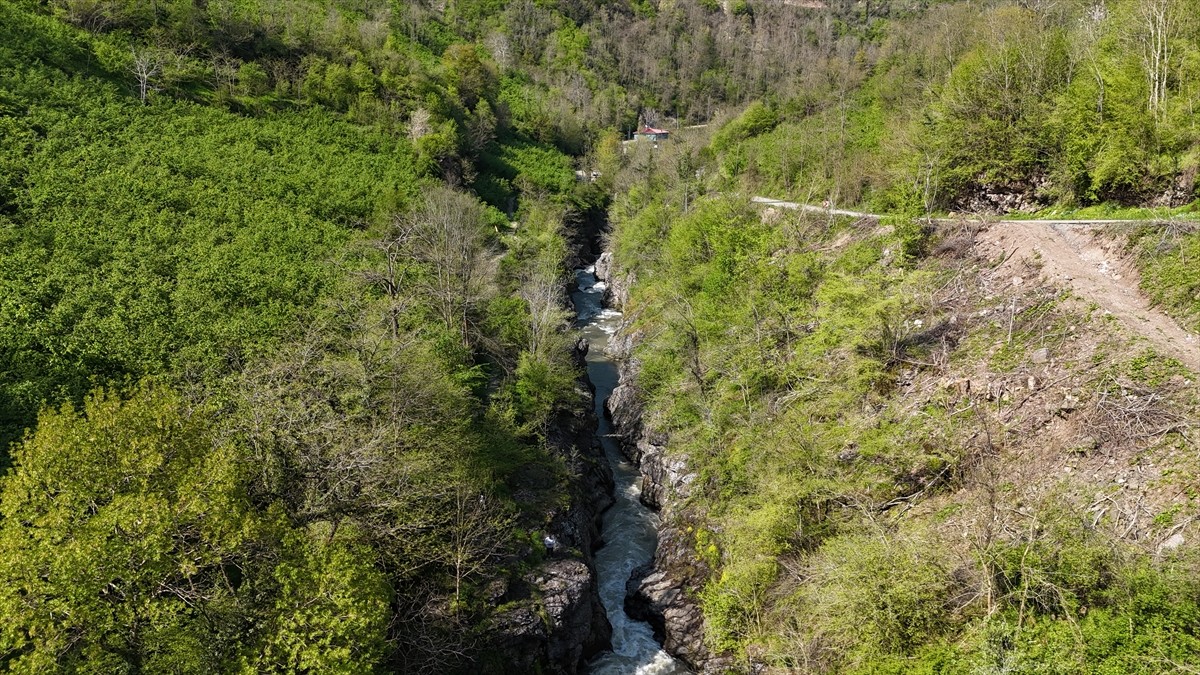 Ordu'nun Ulubey ilçesindeki Küpkaya Kanyonu, yerli ve yabancı ziyaretçilerini bekliyor. Eşsiz...