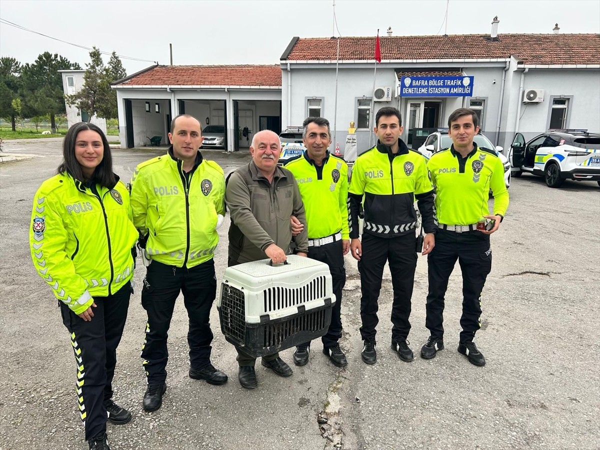 Samsun'un Bafra ilçesinde polis ekiplerince yaralı halde bulunan doğan, koruma altına alındı.