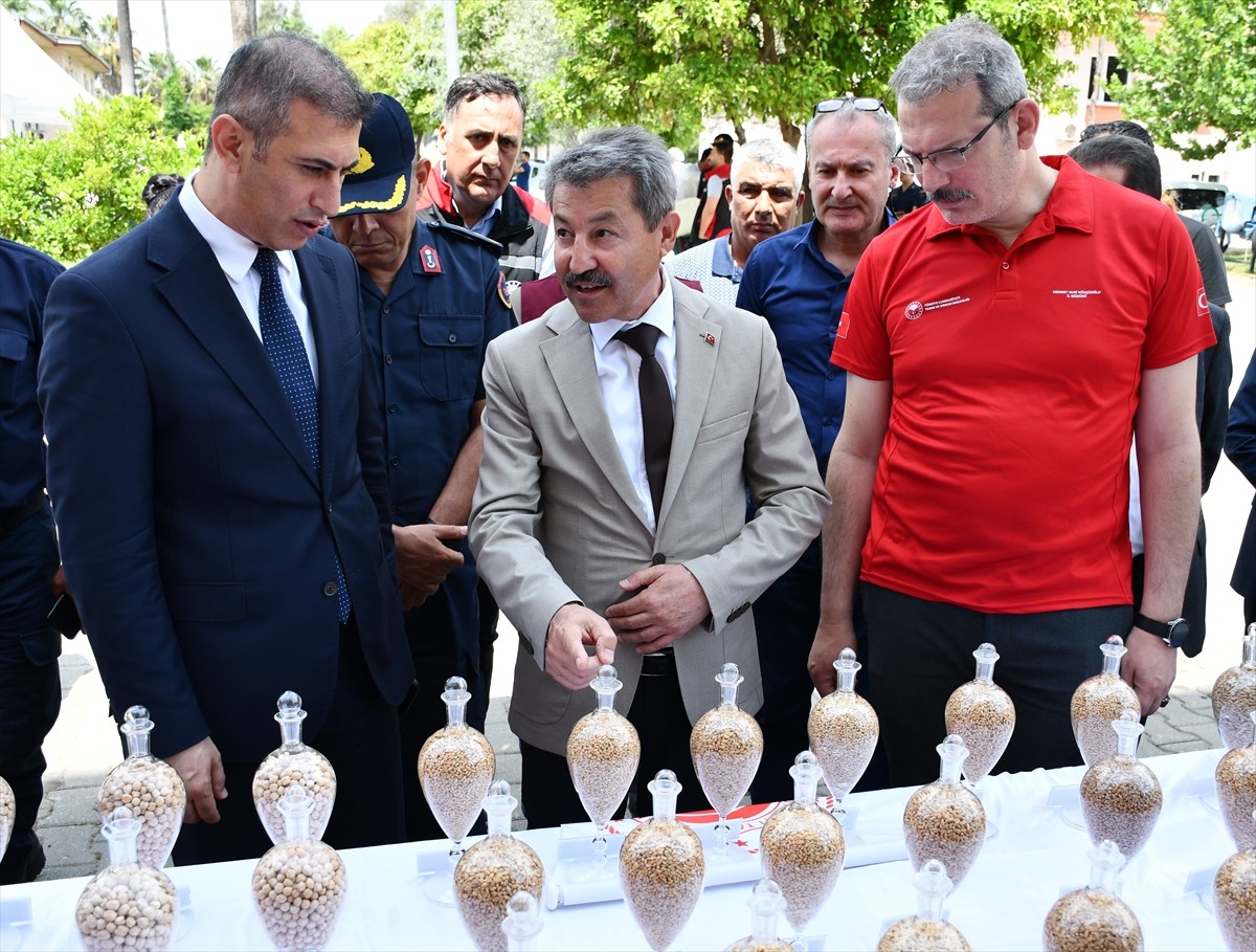 Adana'da Doğu Akdeniz Tarımsal Araştırma Enstitüsünce geliştirilen 4 buğday ve 4 arpa tohumunun...