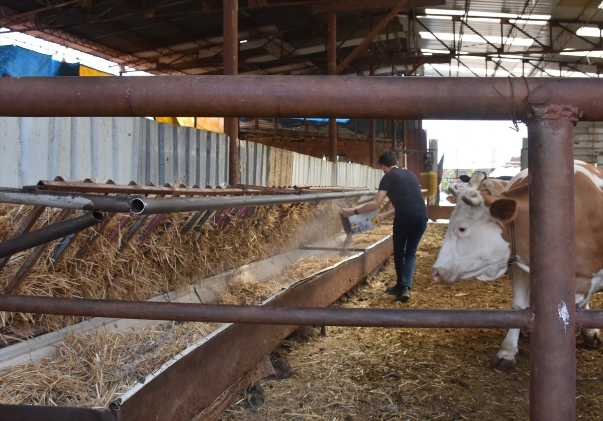 Afyonkarahisar'da 4 kuşaktır çiftçilik yapan Tarım Orman Gençlik Konseyi Üyesi Enes Kelem...