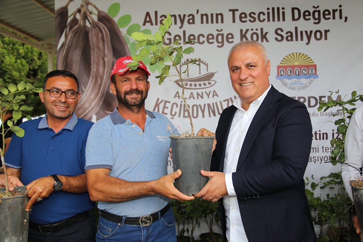 Alanya Ticaret ve Sanayi Odası (ALTSO) başvurusuyla "Alanya keçiboynuzu" Türk Patent ve Marka...