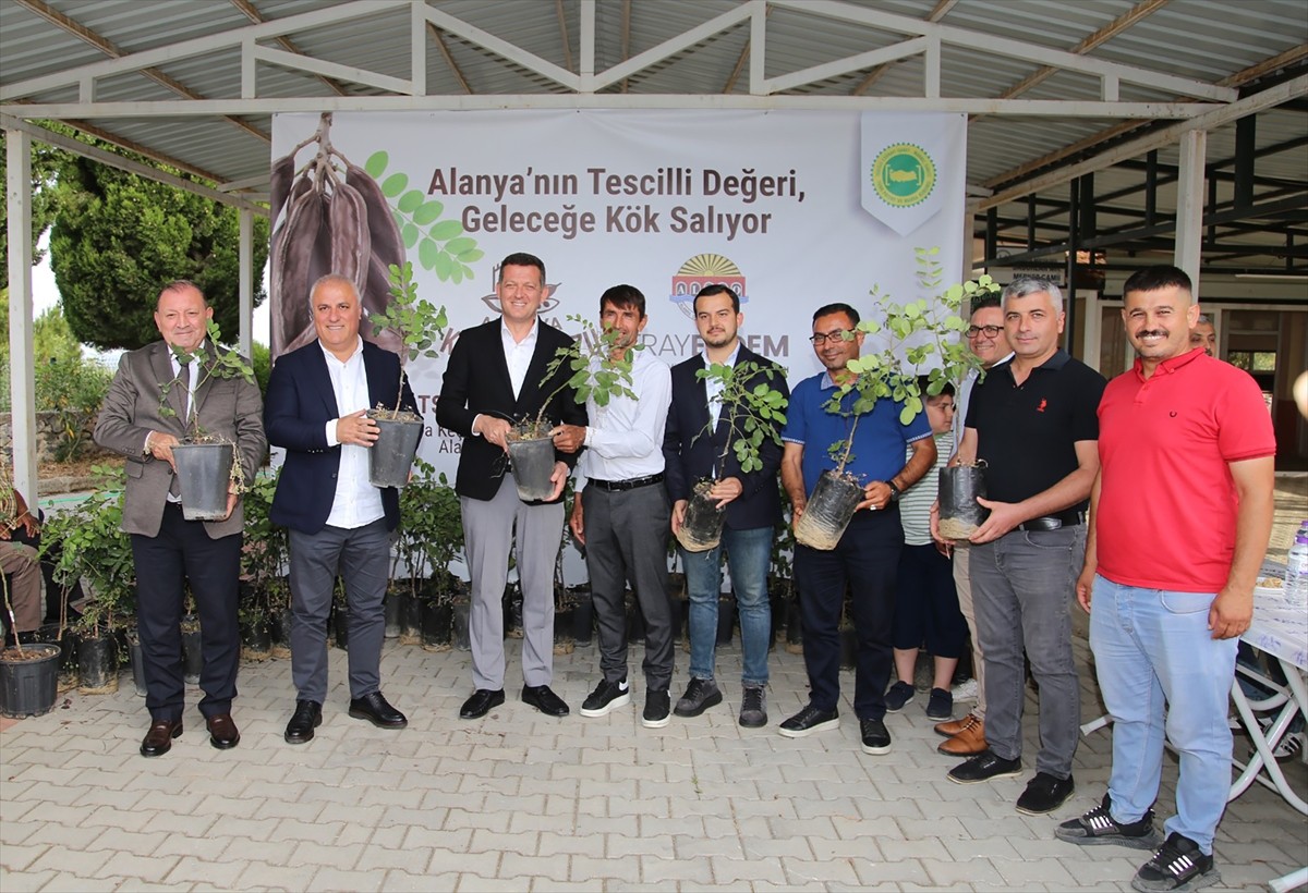 Alanya Ticaret ve Sanayi Odası (ALTSO) başvurusuyla "Alanya keçiboynuzu" Türk Patent ve Marka...