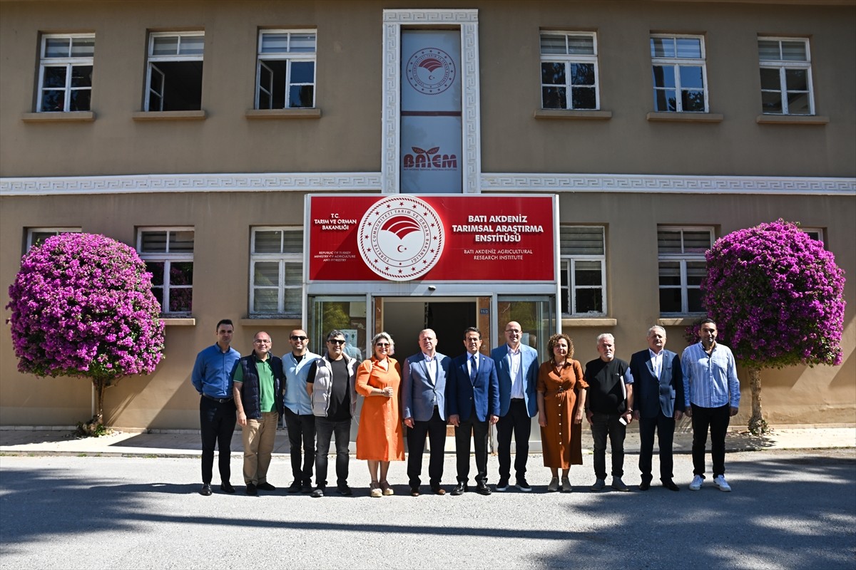 Batı Akdeniz Tarımsal Araştırma Enstitüsü Müdürlüğü (BATEM) ekipleri, AR-GE çalışması yürüttükleri...