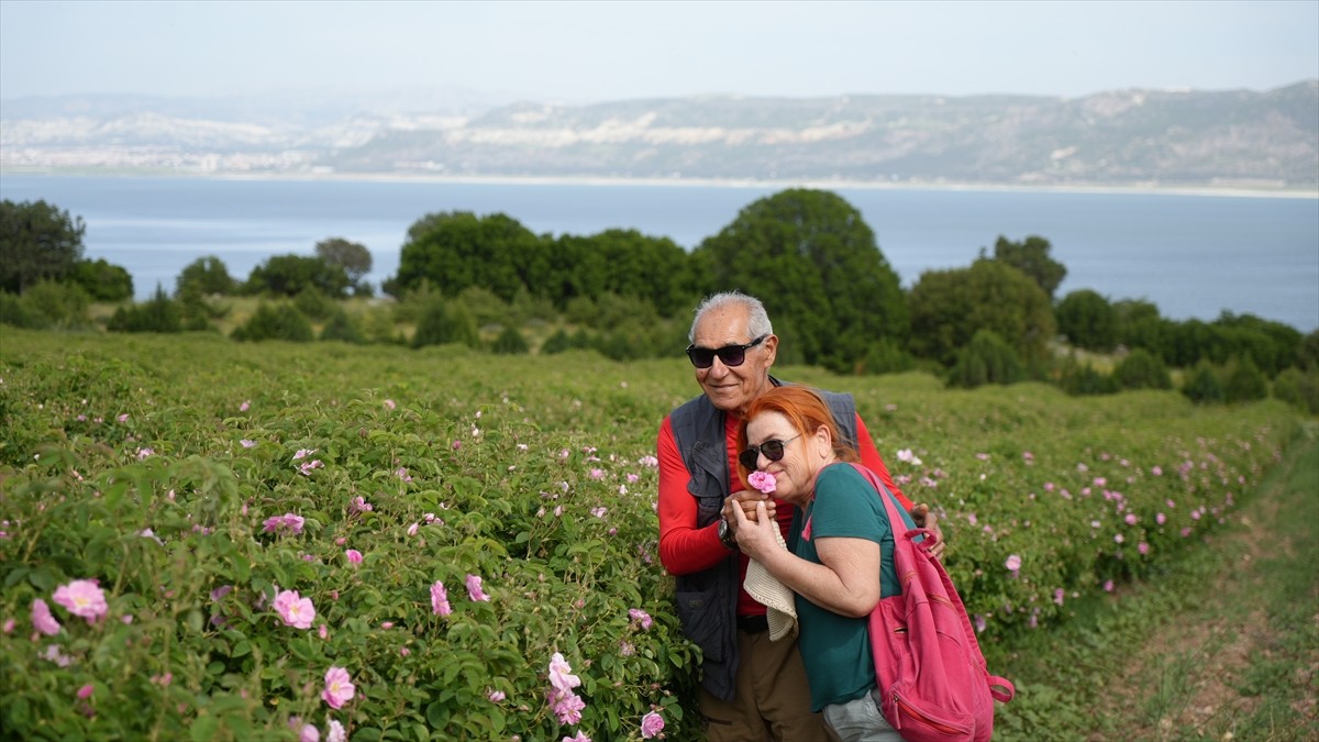 Burdur'da gül hasadının başlamasıyla göl manzaralı gül bahçelerine yerli ve yabancı turistlerin...