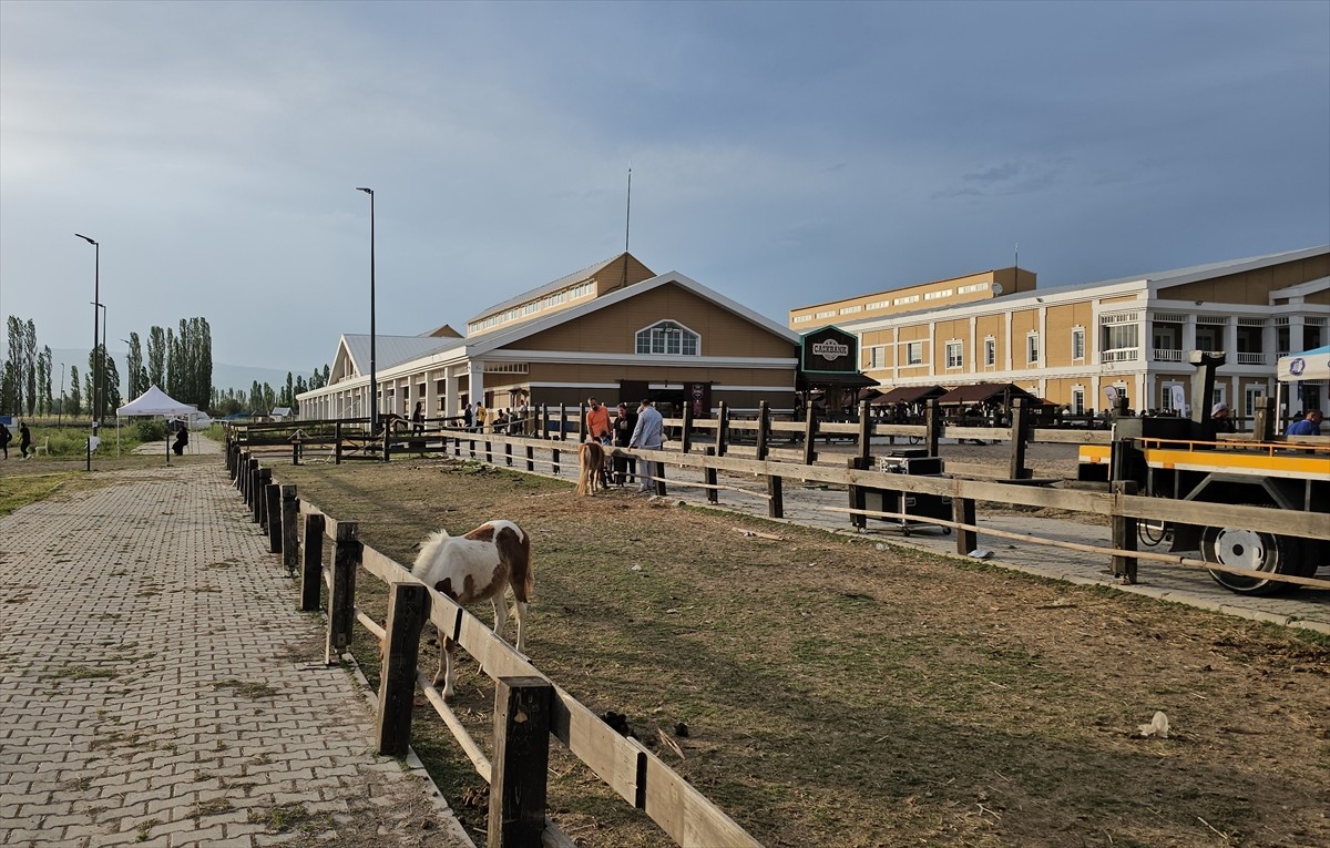 Çorum'da Uluslararası Atlı Dayanıklılık Yarışması düzenlendi. Çorum Belediyesi ve Çorum Anatolia...