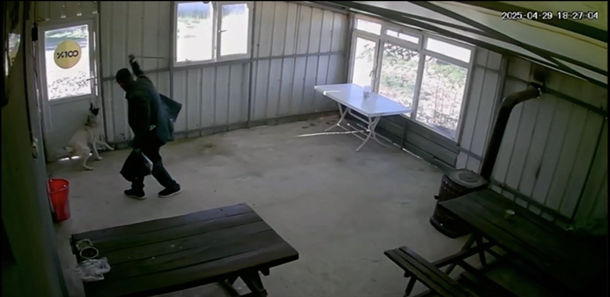 Edirne'de 5 aylık köpek, köy sakini tarafından kahvehanenin deposunda bastonla dövüldü. Köpeğin...