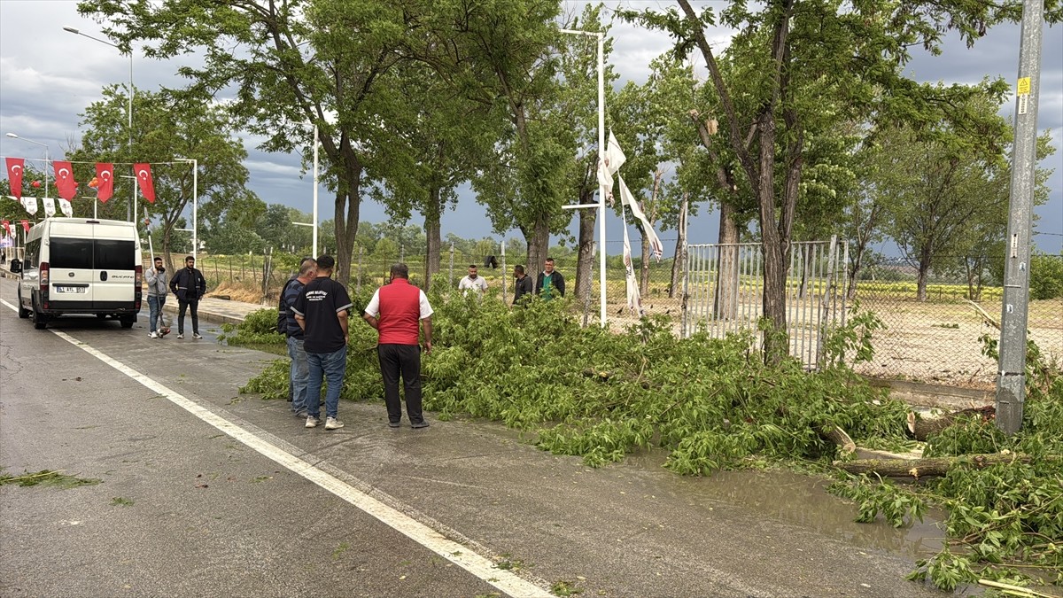 Edirne'de kuvvetli rüzgar, sağanak ve dolu, hayatı olumsuz etkiledi. Kentte öğleden sonra başlayan...