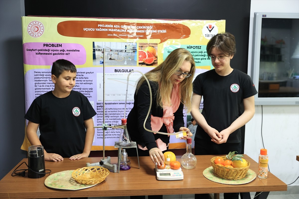 Edirne'de ortaokul öğrencileri greyfurt çekirdeğiyle mandalinan bozulmasını geciktirerek raf...