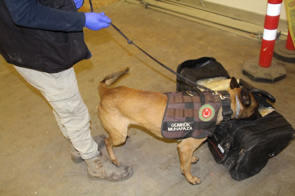 Kapıkule Sınır Kapısı'nda, Edirne Gümrük Muhafaza Kaçakçılık ve İstihbarat Müdürlüğü ekiplerince...