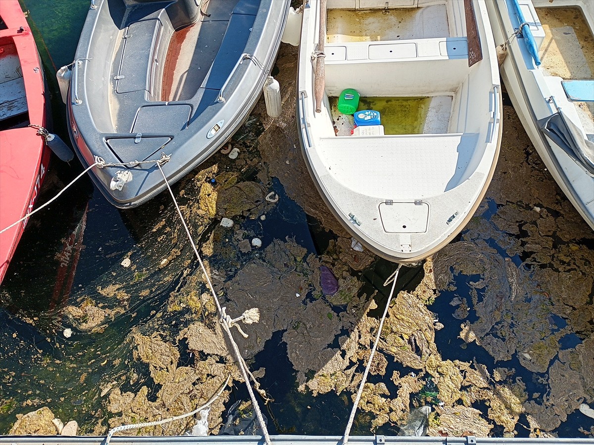  Kocaeli'nin Karamürsel ilçesinde denizde köpüksü tabaka görüldü.