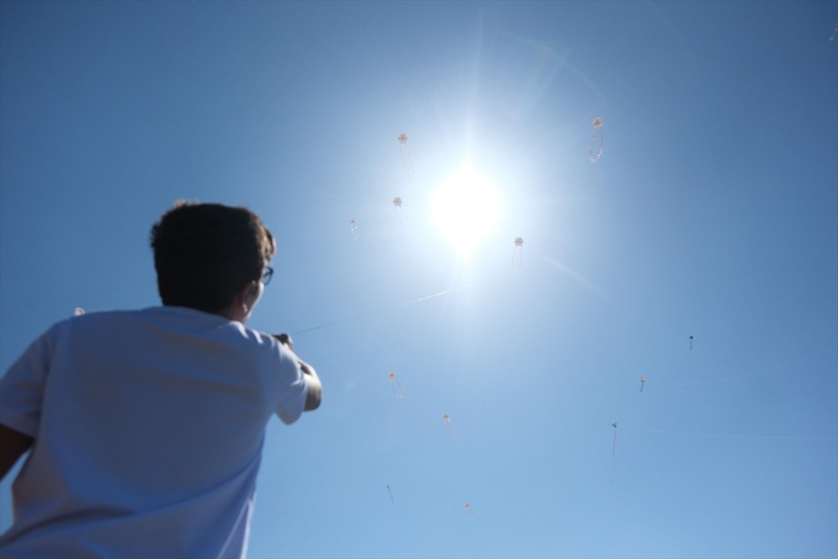 Muğla'nın Bodrum ilçesinde, Muğla Büyükşehir Belediyesi, Bodrum Kaymakamlığı ve Bodrum...